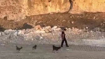 Köpeklerin Saldırısına Karşı Soğukkanlılık Örneği