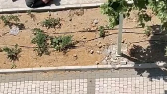 İstanbul'da İki Çocuğa Sokak Ortasında Şiddet: Olay Kamerada