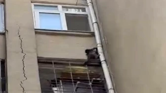 Çatılarda Dolaşan Maymun Yakalanamıyor