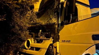 Uyuyan Sürücü Faciadan Döndü: Tır Üst Geçide ve Araçlara Çarptı