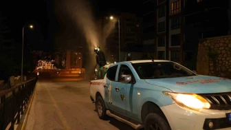 Haşere Tehdidine Karşı Yoğun Gece İlaçlaması
