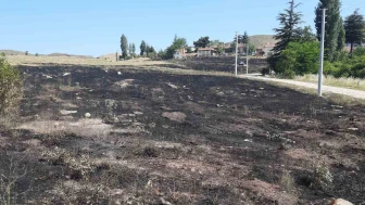 Torpil 15 Dönümü Kül Etti