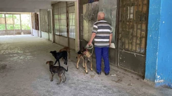 15 Gündür Mahsur 6 Köpek Kurtarıldı