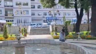 Yavru Kargayı Kurtarmak İsterken Saldırıya Uğradı
