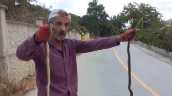 Yolda Gördü Elleriyle Tuttu