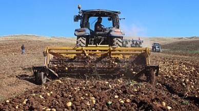 Tarımda rekor üstüne rekor