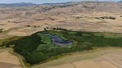 Mahkeme kararını verdi,  Kaz Gölü kurtuldu