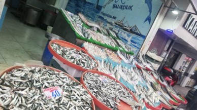GÜNLÜK 600 KİLO BALIK SATILIYOR