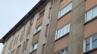 SARKITLAR TEHLİKE YARATIYOR