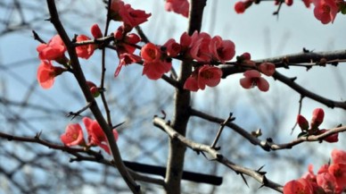 21 MART EKİNOKSU BUGÜN BAŞLIYOR