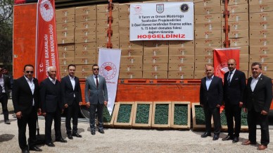 AKINCILAR’DA 220 BİN DOMATES FİDESİ DAĞITILDI