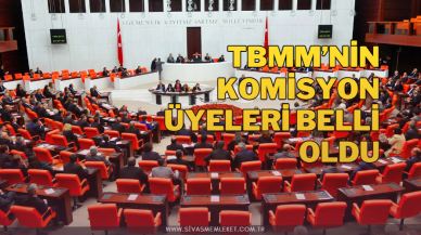 SİVAS’IN 4 VEKİLİ KOMİSYONDA GÖREV ALDI