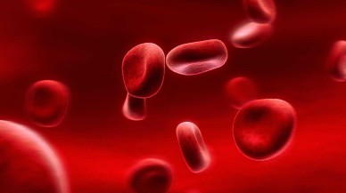 Akdeniz Anemisi (Talasemi) Nedir? Belirtileri Nelerdir? Akdeniz Anemisi Tedavisi Var Mı?