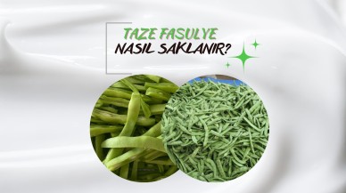 TAZE FASULYE NASIL SAKLANIR?