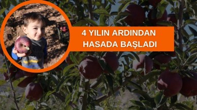 Yapılamaz Denileni Yaptı 4 Yılın Ardından Hasada Başladı
