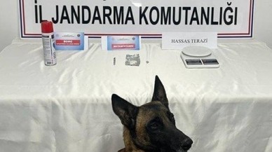 Eskişehir'de Jandarmanın Uyuşturucuyla Mücadelesinde Tutuklamalar!