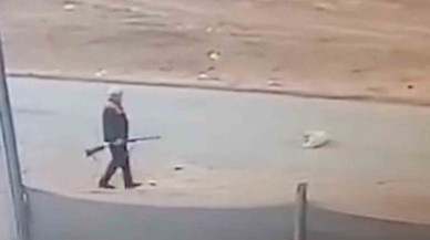 Sokak Köpeğini Öldüren Cani Serbest Bırakıldı