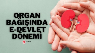 Organ Bağışında E-Devlet Dönemi