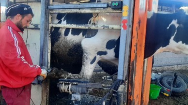 Hayvan Yetiştireceklere Uygulamalı Eğitim Verildi
