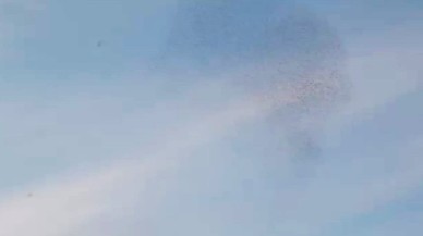 Kuşlar Görsel Şölen Oluşturdu