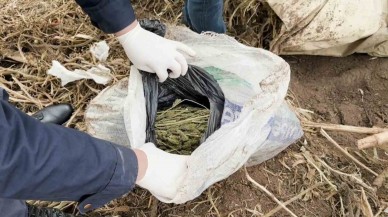 Uyuşturucu Taciri Tutuklandı