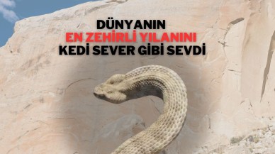 Dünyanın En Zehirli Yılanını Kedi Sever Gibi Sevdi