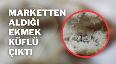 Marketten Aldığı Ekmek Küflü Çıktı