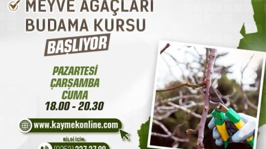 Meyve Ağaçları Budama Kursu Verildi