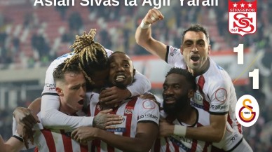 Aslan Sivas'ta Ağır Yaralı