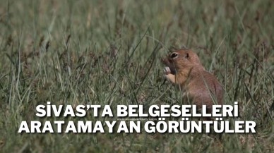Sivas’ta Belgeselleri Aratamayan Görüntüler