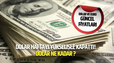 Dolar Haftayı Yükselişle Kapattı! Dolar ne kadar ?