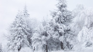 Meteorolojiden Yağmur ve Kar Uyarısı!