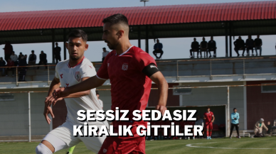 Sessiz Sedasız Kiralık Gittiler