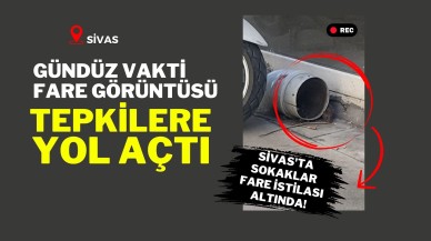 Sivas'ta Sokaklar Fare İstilası Altında! Gündüz Vakti Fare Görüntüsü Tepkilere Yol Açtı