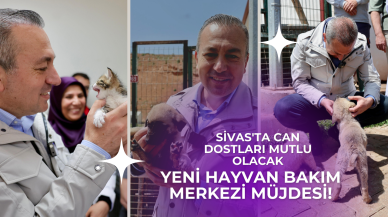 Sivas'ta Can Dostları Mutlu Olacak: Yeni Hayvan Bakım Merkezi Müjdesi!