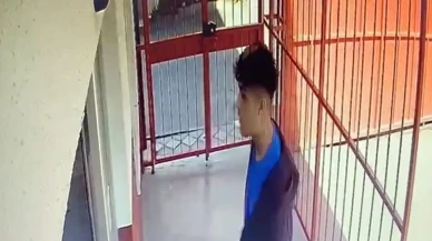 Eyüpsultan'da Dehşet: Öğrenci Okul Müdürünü Silahla Vurarak Öldürdü!