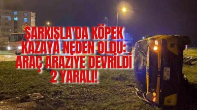 Şarkışla'da Köpek Kazaya Neden Oldu: Araç Araziye Devrildi,  2 Yaralı