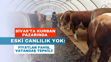 Sivas'ta Kurban Pazarında Eski Canlılık Yok: Fiyatlar Fahiş,  Vatandaş Tepkili!