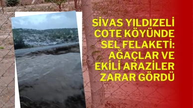 Sivas Yıldızeli Cote Köyünde Sel Felaketi: Ağaçlar ve Ekili Araziler Zarar Gördü