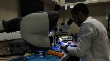 Uzman Uyarısı: Sosyal Medya Paylaşımlarınız Sizi Dolandırıcıların Hedefi Hale Getirebilir!