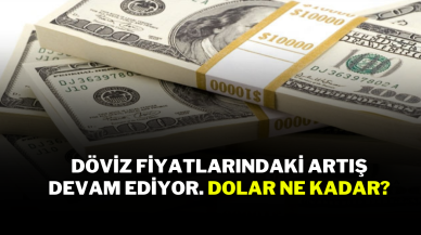 Döviz fiyatlarındaki artış devam ediyor. Dolar ne kadar?