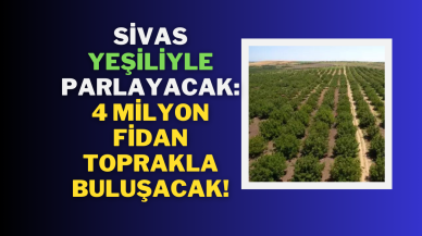 Sivas Yeşiliyle Parlayacak: 4 Milyon Fidan Toprakla Buluşacak!