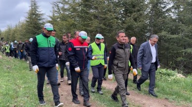 "Hacılar'da Orman Varlığı Artıyor: 2 Milyon Ağaç Dikildi"