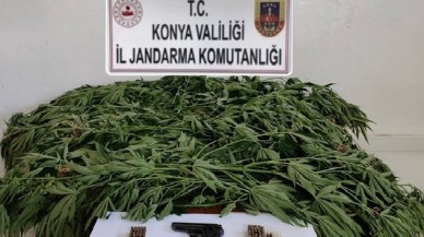 Jandarma Uyuşturucu Operasyonlarında Çok Sayıda Kenevir ve Silah Ele Geçirdi