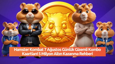 Hamster Kombat 7 Ağustos Günlük Gizemli Kombo Kartları! 5 Milyon Altın Kazanma Rehberi
