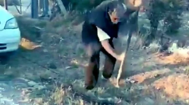 Ankara’da Yavru Köpeğe Vahşi Saldırı