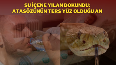 Su İçene Yılan Dokundu: Atasözünün Ters Yüz Olduğu An