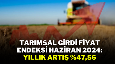 Tarımsal Girdi Fiyat Endeksi Haziran 2024: Yıllık Artış %47, 56