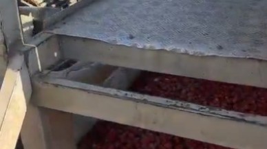 Bakanlık,  Manisa'daki Salça Üretim Fabrikasının Faaliyetlerini Durdurdu