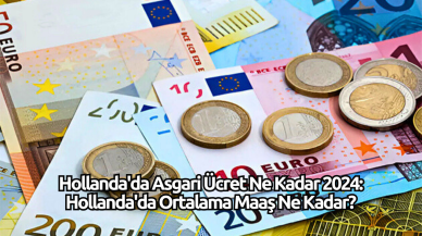 Hollanda'da Asgari Ücret Ne Kadar 2024: Hollanda'da Ortalama Maaş Ne Kadar?